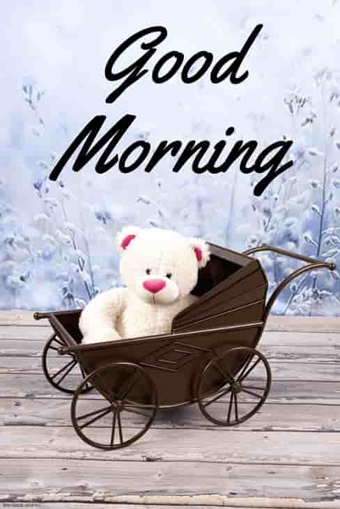 good morning teddy bear hd images