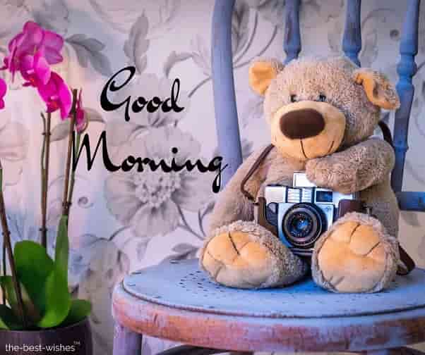 good morning teddy bear images