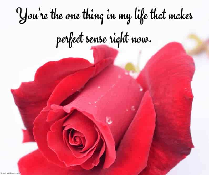 good morning text for her crush with red rose