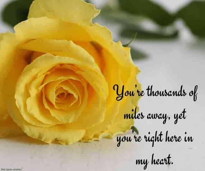 good morning text for her long distance with yellow rose
