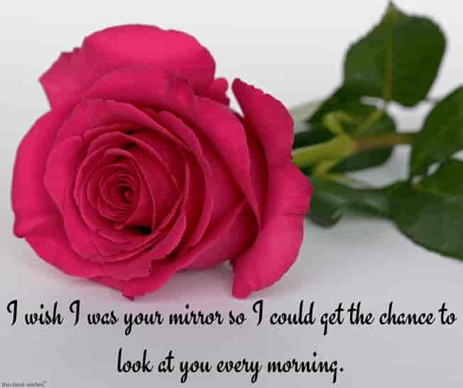 good morning text for her my love with rose