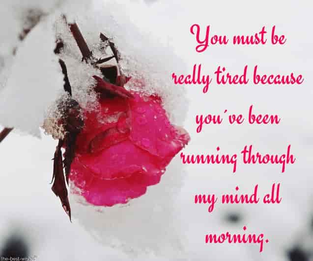 good morning text message with red rose in snow for him