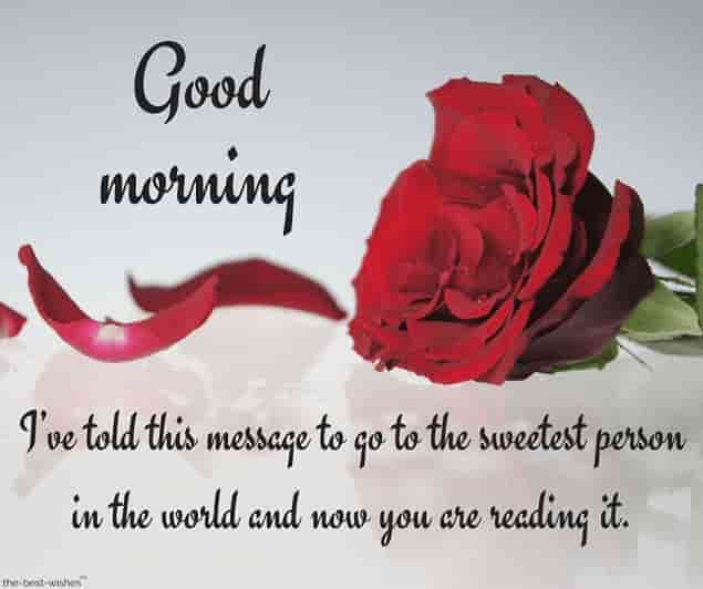 good morning text messages for boyfriend with red rose