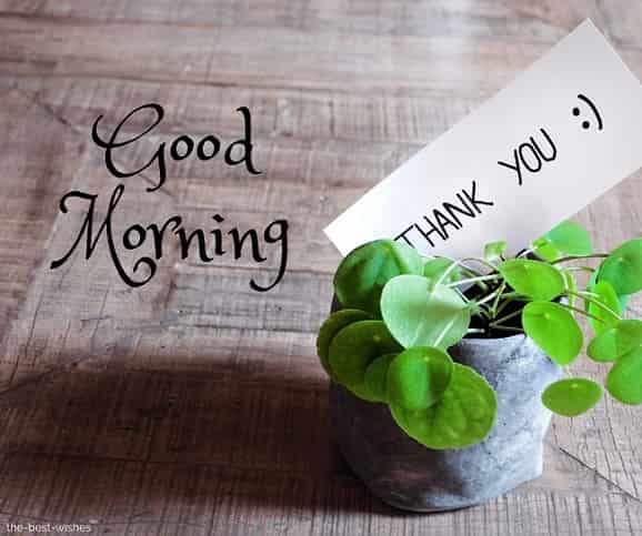 good morning thank you wishes images to friends
