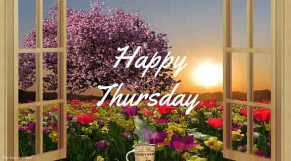 good morning thursday with flowers