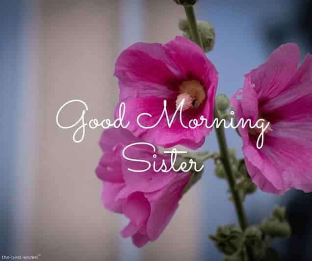 good morning to sister