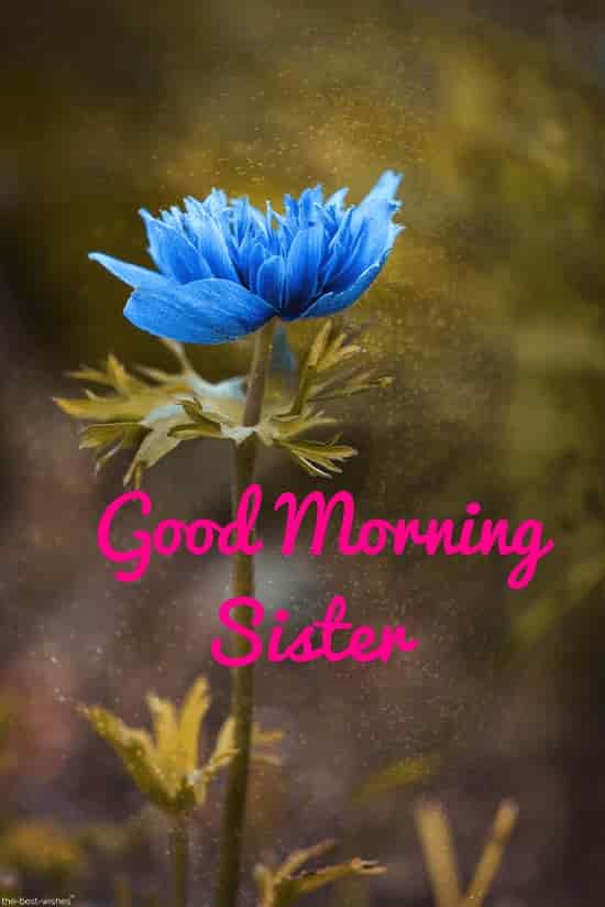 good morning to you sister