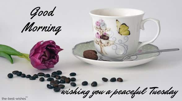 good morning tuesday with tea and purple flower
