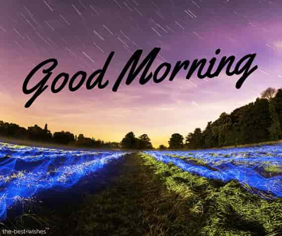 200+ Stunning Good Morning Wallpaper Images and HD Greetings