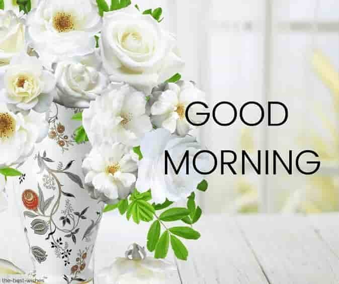 good-morning-wishes-images-with-rose-flowers-vase