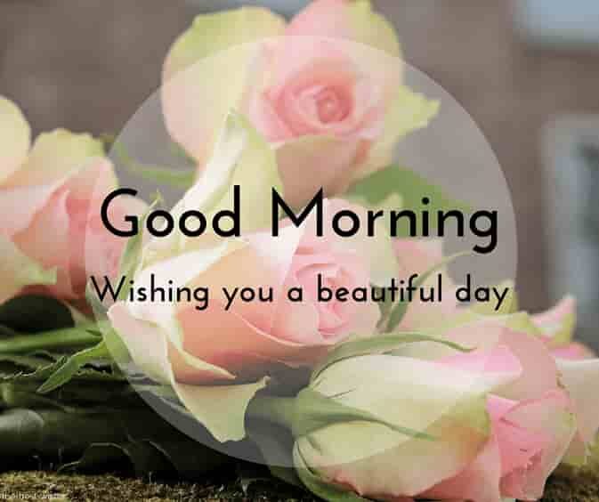 good-morning-wishes-images