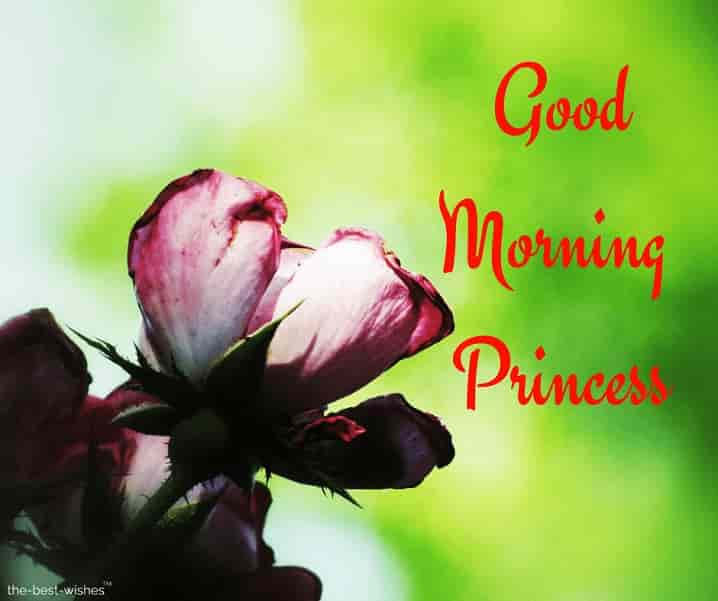 good morning wishes to princess