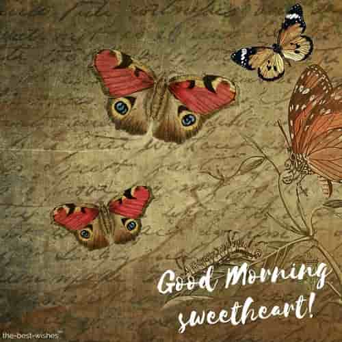 good morning wishes with butterfly images for sweetheart