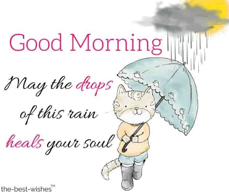 good-morning-wishes-with-rain-with-cute-cat-walking-in-rain