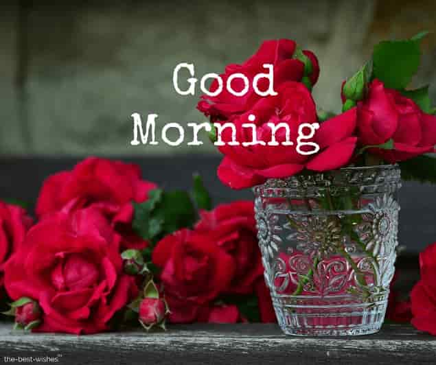 good morning wishes with red roses images