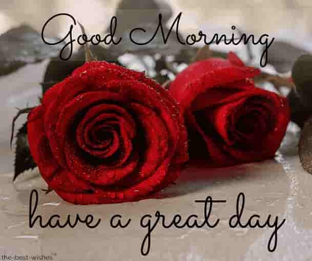 good morning wishes with red roses