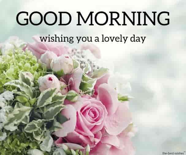 good-morning-wishing-you-a-lovely-day-with-roses