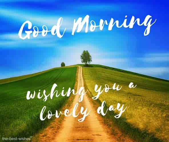 good morning wishing you a lovely day
