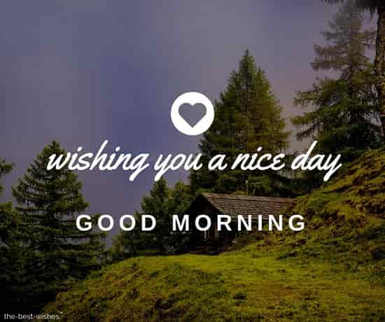good morning wishing you a nice day