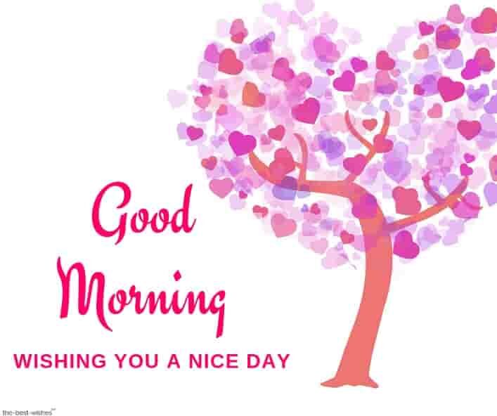 good-morning-wishing-you-a-nice-day