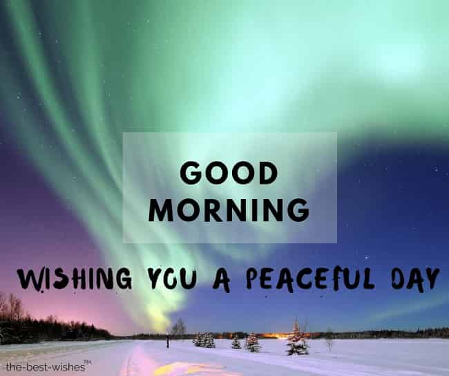 good morning wishing you a peaceful day