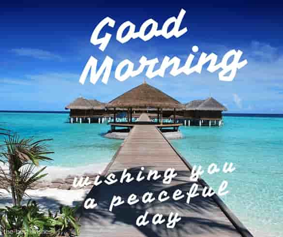 good morning wishing you a peaceful day ahead