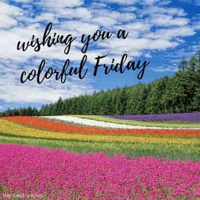 good morning wishing you a very colorful friday
