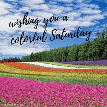good morning wishing you a very colorful saturday