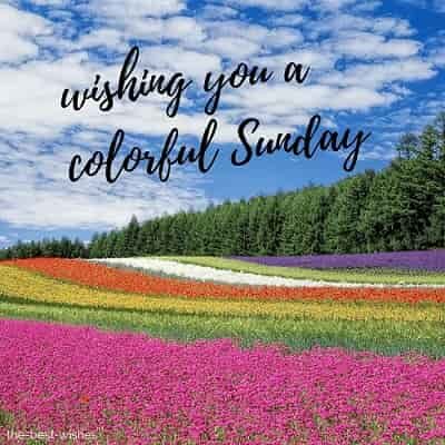 good-morning-wishing-you-a-very-colorful-sunday