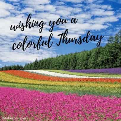 good morning wishing you a very colorful thursday