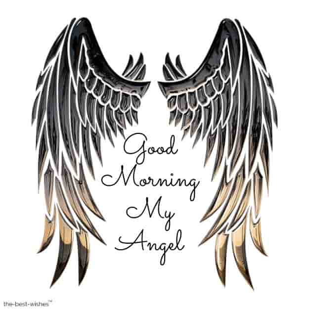 good morning with angel wings pictures