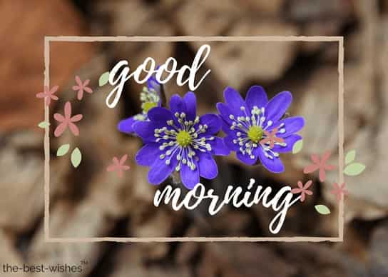 good morning with blue flower