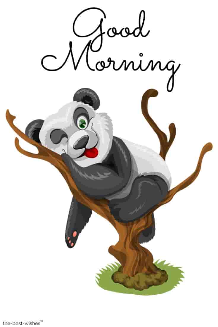 good morning with hd panda pic