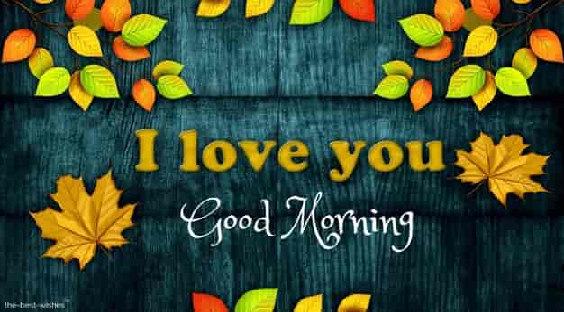 good morning with i love you pic
