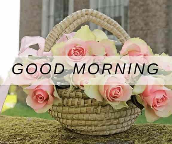 good-morning-with-pink-roses-basket