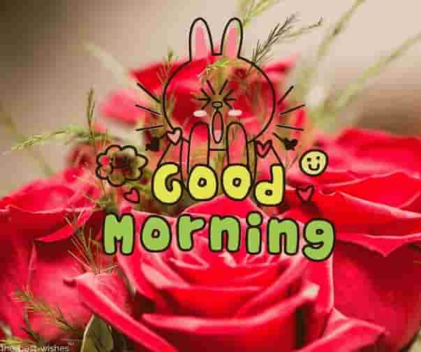 good morning with roses images
