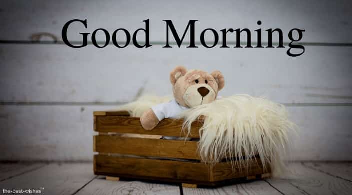 good morning with teddy bear pic