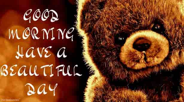 good morning with teddy have a beautiful day