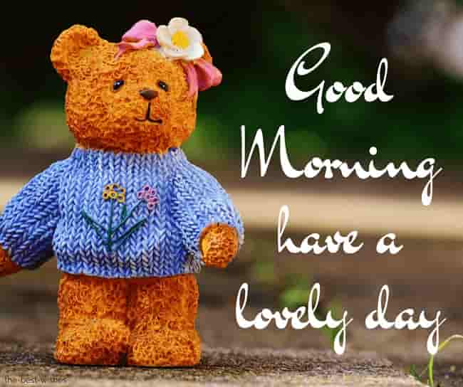 good morning with teddy have a lovely day