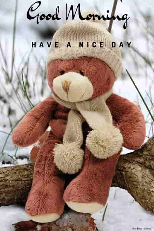 good morning with teddy have a nice day