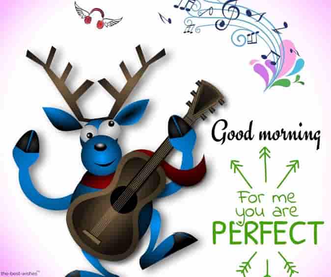 good morning you are perfect for me