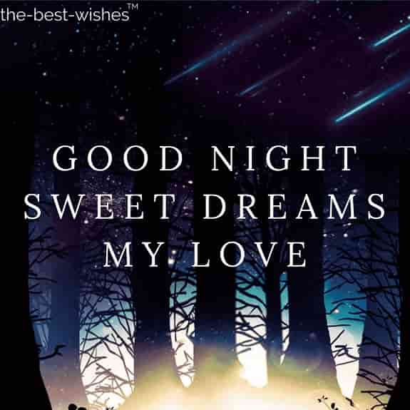 good night sweet dreams my love
