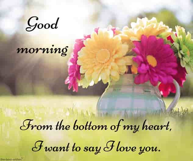 great good morning text for her with colorful flowers in pot