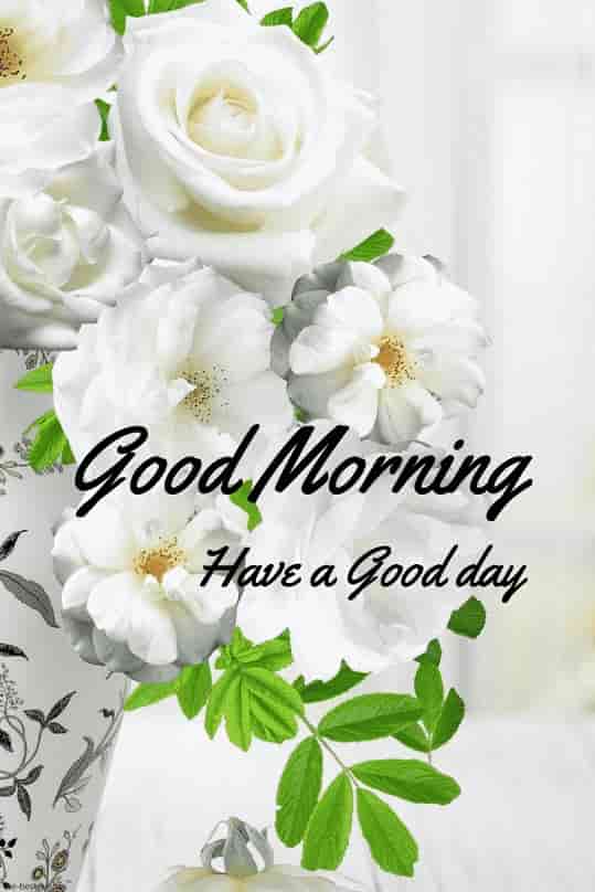 gud morning pics hd with white flowers vase
