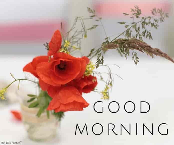 gud-mrng-images-with-red-flowers