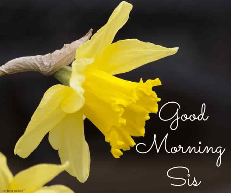 gud mrng sis