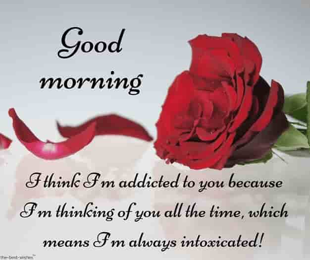 gud mrng with red rose text to him