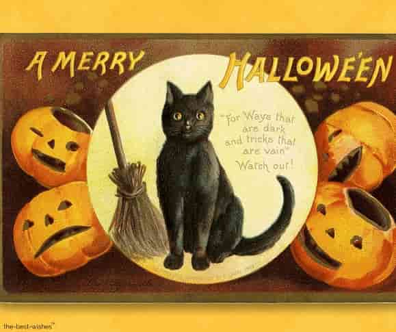 halloween vintage card picture
