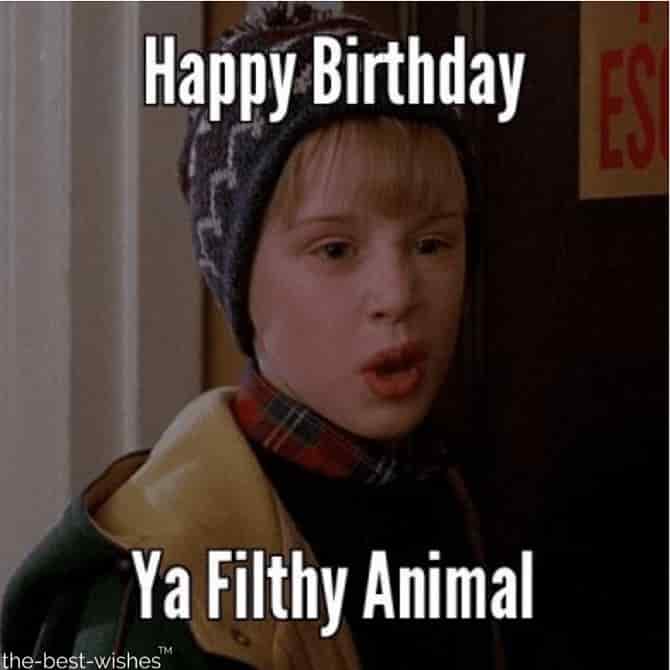happy birthday memes for brother ya filthy animal