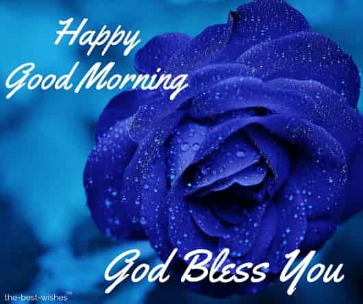 Best happy good morning tuesday image with blue rose